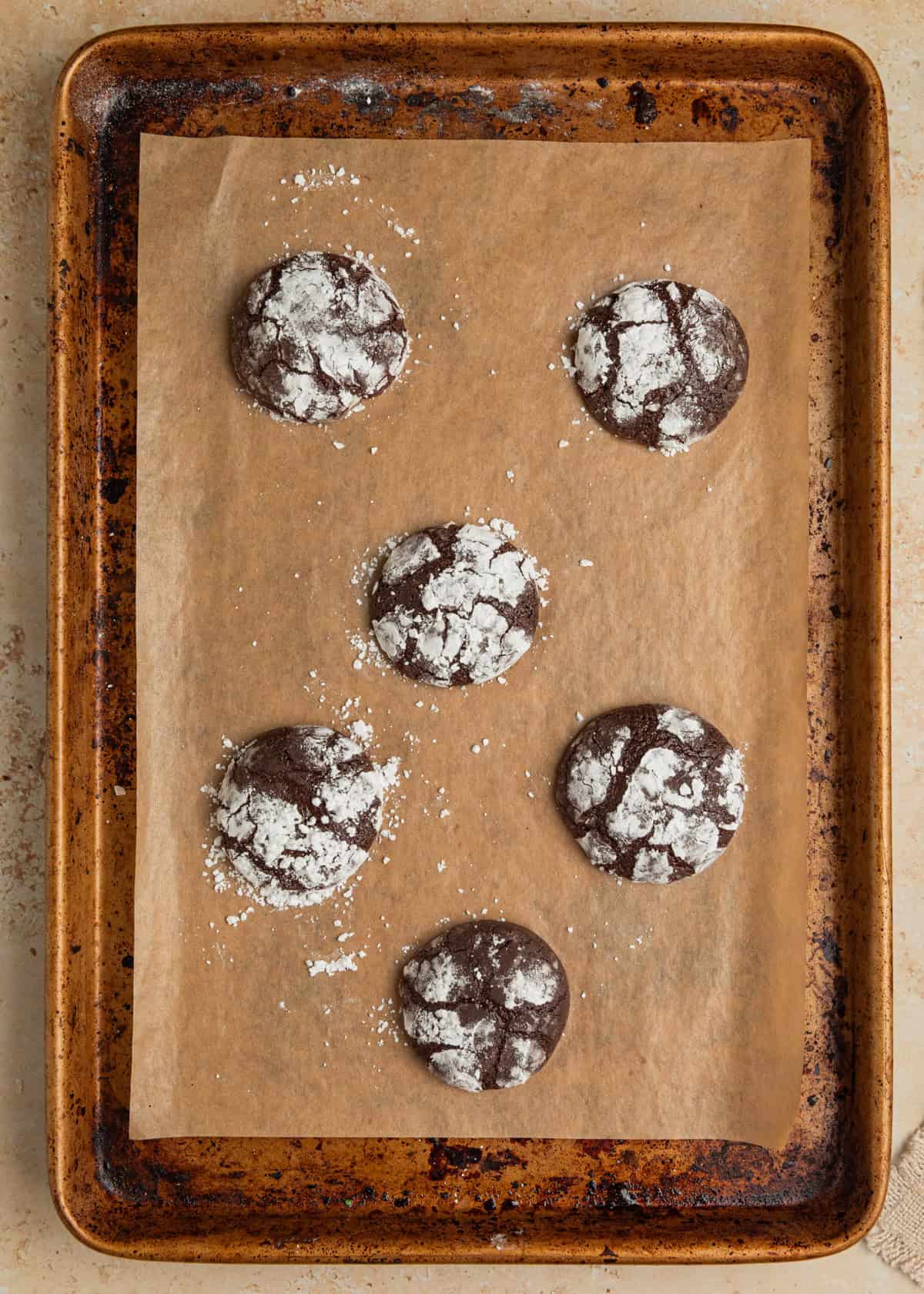 Chocolate crinkle cookies fresh from oven on cookie sheet.