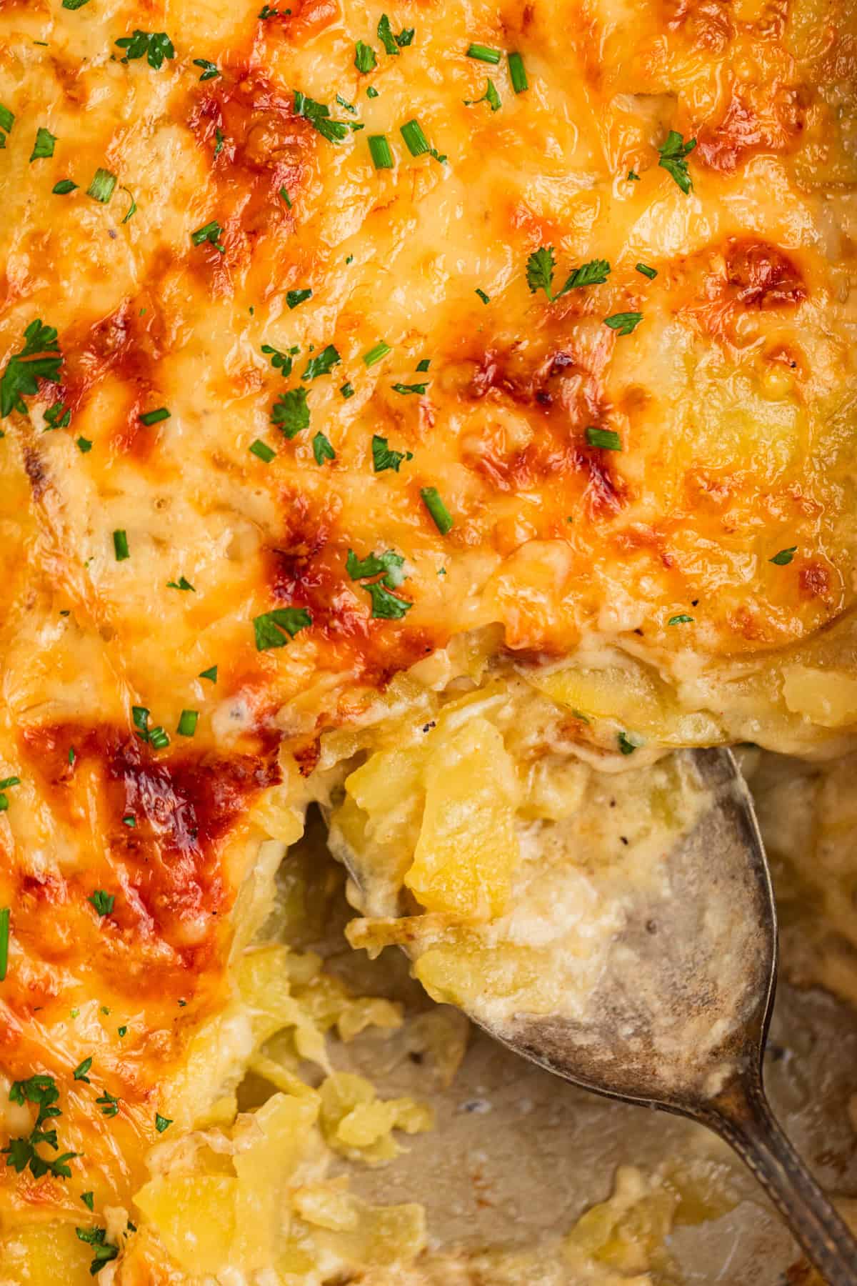 Cheesy gruyere scalloped potatoes in pan with serving spoon propped in it.