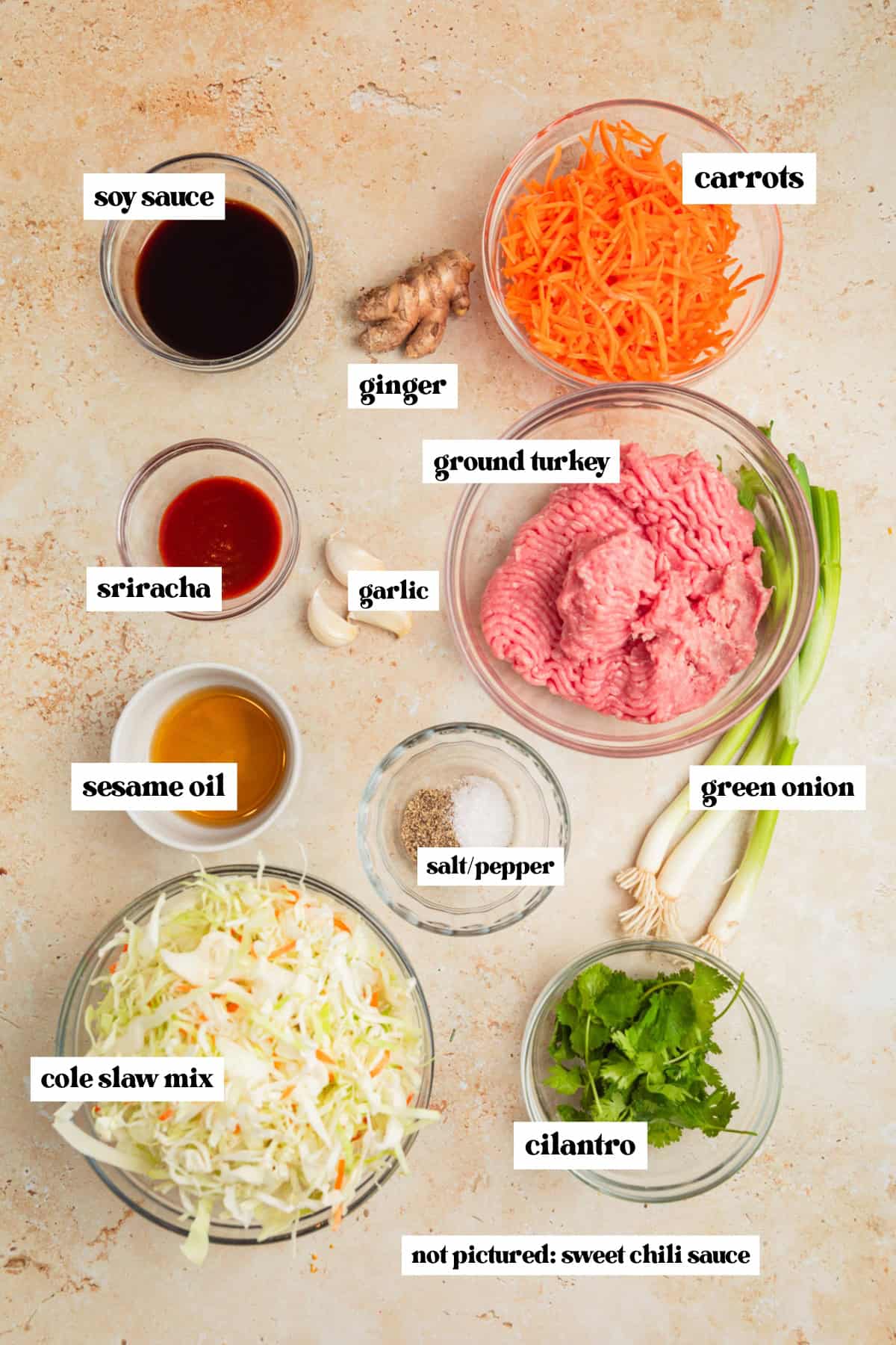 Cole slaw, ginger, soy sauce, and other ingredients arranged for recipe on surface.