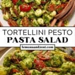 Serving bowl with pesto tortellini pasta salad and then served on plate.