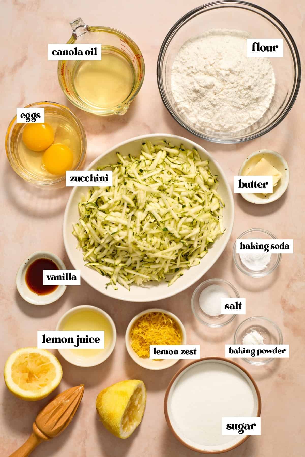 Shredded zucchini, sugar, flour, eggs and other labeled ingredients prepped for recipe.