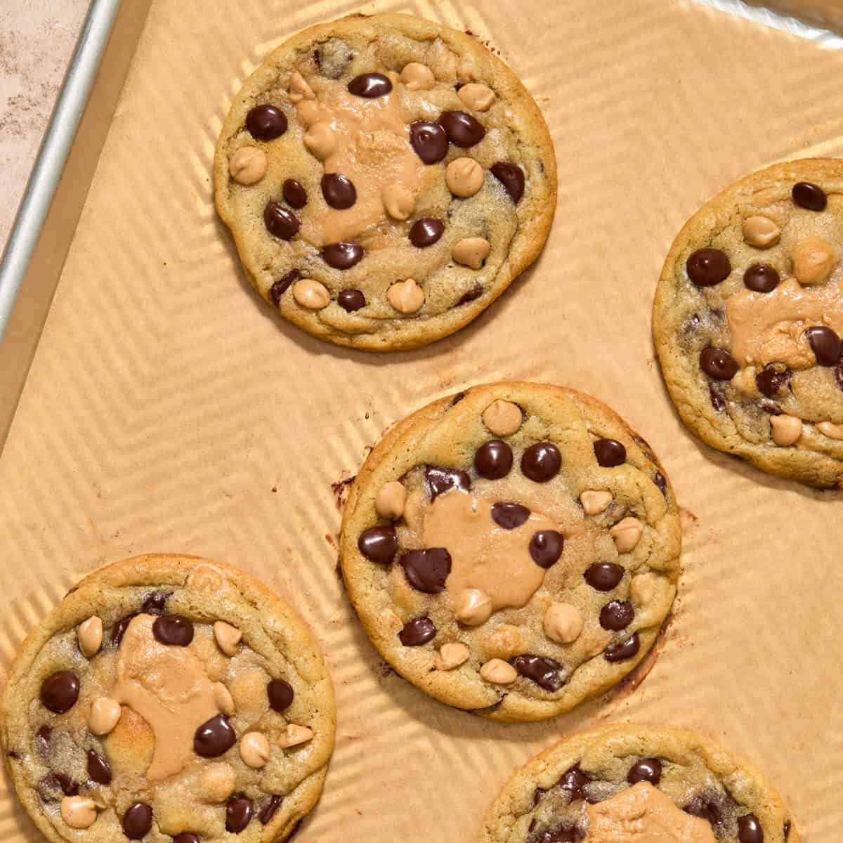 Peanut butter stuffed chocolate chip cookies on parchment lined baking pan.